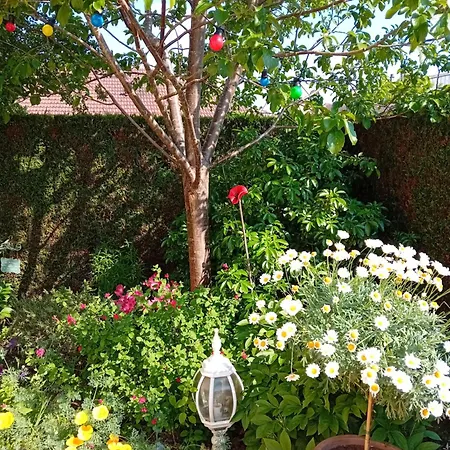 Casa de hóspedes De Charme Vernon (Eure)