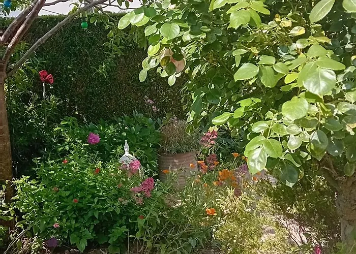 De Charme Guest house 3*